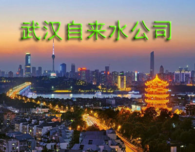 武汉自来水公司